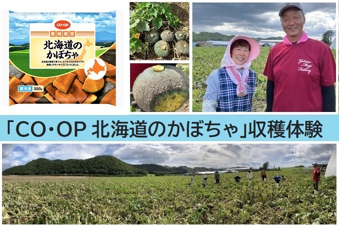 CO・OP北海道のかぼちゃ」 収穫体験に行ってきました！