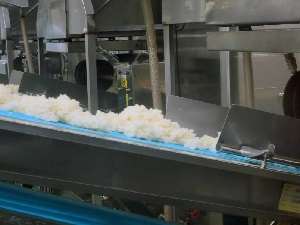 新潟県村松産 特別栽培米こがねもち 田んぼレポートその２が届き