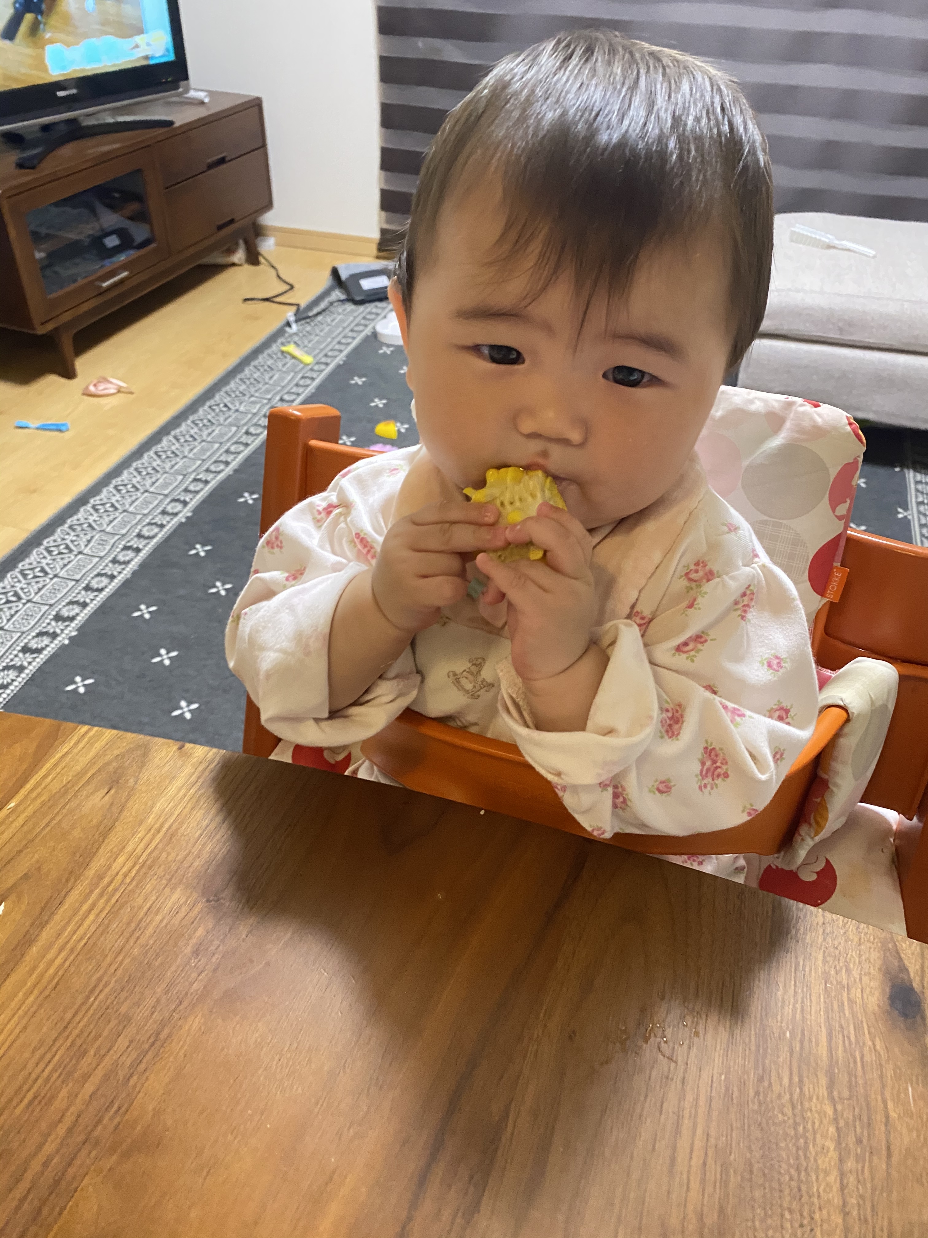 住所 料理 カリキュラム 赤ちゃん 8 ヶ月 つまずく 画家 トラフ