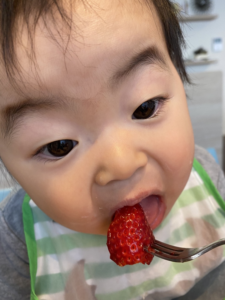 1歳5ヶ月になりました 食べるの大好き お野菜果物パクパク食べます ホワイトソースも市販の粉末のものを使っていますが好きです よろしくお願いします コープ デリシェ 1歳5ヶ月になりました 食べるの大好き お野菜果物パクパク食べます ホワイトソースも市販の粉末のものを使っていますが好きです よろしくお願いします コープ デリシェ