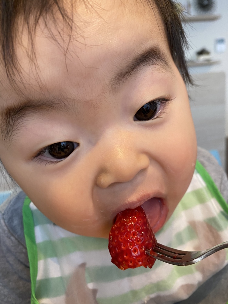 1歳5ヶ月になりました 食べるの大好き お野菜果物パクパク食べます ホワイトソースも市販の粉末のものを使っていますが好きです よろしくお願いします コープ デリシェ