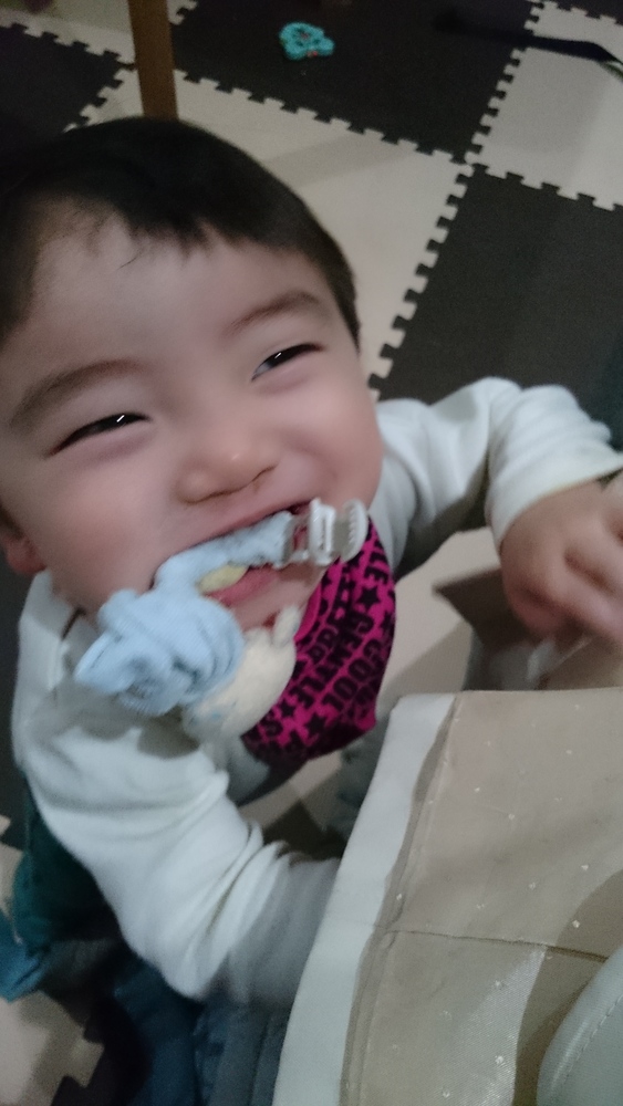 なんでも口に入れるやんちゃな男の子です コープ デリシェ なんでも口に入れるやんちゃな男の子です コープ デリシェ