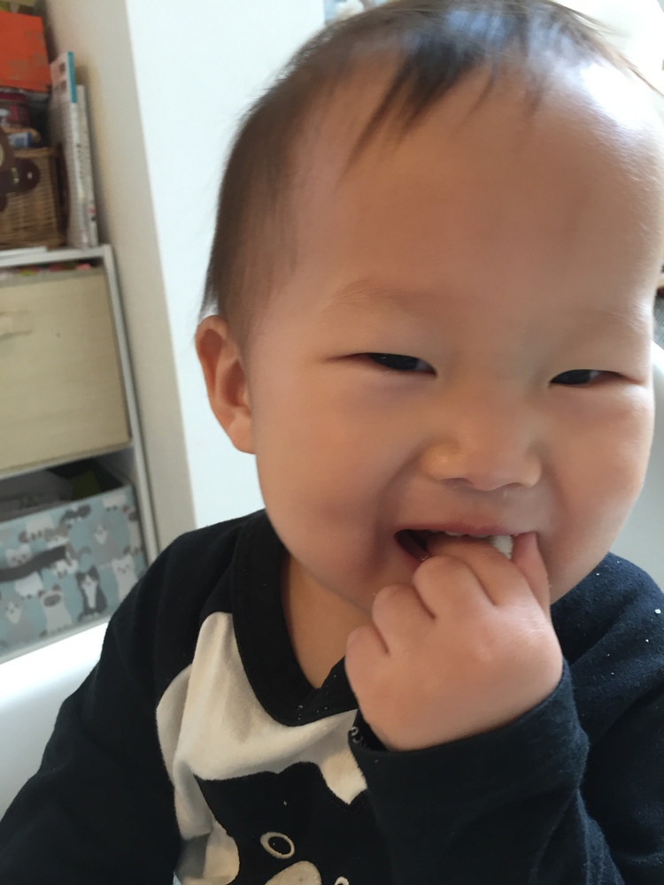 １歳４ヶ月よく笑うようたくん男の子です お味噌汁の具が大好きでよく横取りされます コープ デリシェ