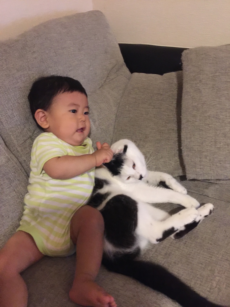 もう直ぐ1歳1ヶ月になります 離乳食をモリモリ食べてよく笑う子になりました コープ デリシェ もう直ぐ1歳1ヶ月になります 離乳食をモリモリ食べてよく笑う子になりました コープ デリシェ