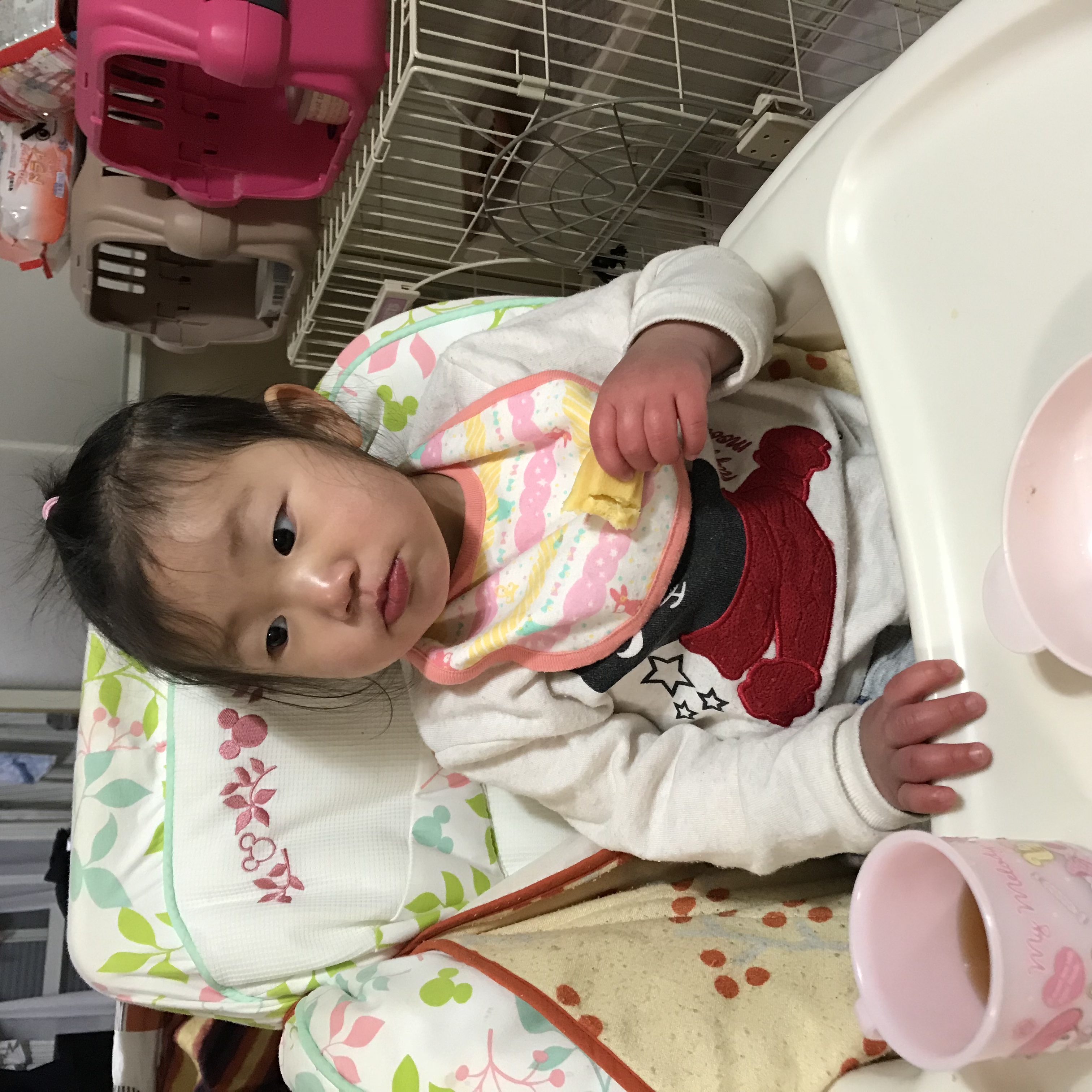 なっちゃん1歳6ヶ月女の子 コープ デリシェ