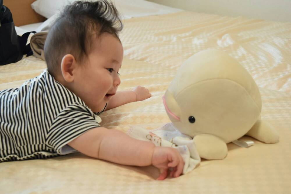 7ヶ月の男の子 ひなたです 離乳食ももりもり食べる息子 笑うと下の歯がちらっと見えます 色々なものに興味津々 朝も昼も夜も寝返りゴロゴロしています うらごし根菜が気に入ってよく食べています コープ デリシェ 7ヶ月の男の子 ひなたです 離乳食ももりもり食べる息子 笑うと下の歯がちらっと見えます 色々なものに興味津々 朝も昼も夜も寝返りゴロゴロしています うらごし根菜が気に入ってよく食べています コープ デリシェ