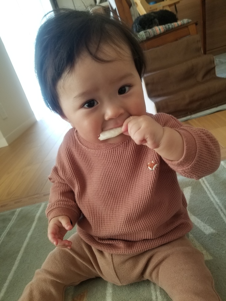 食欲旺盛な11ヶ月の奏太男の子です ホワイトソースを使った離乳食がお気に入り コープ デリシェ 食欲旺盛な11ヶ月の奏太男の子です ホワイトソースを使った離乳食がお気に入り コープ デリシェ
