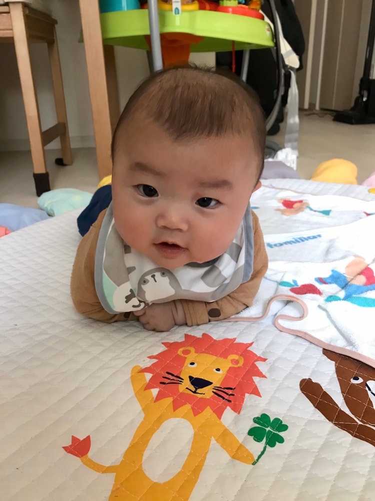 来週5ヶ月になる男の子です 大人がご飯を食べているのを じーっと見つめて今から離乳食を楽しみにしているように感じます よろしくお願い致します コープ デリシェ 来週5ヶ月になる男の子です 大人がご飯を食べているのを じーっと見つめて今から離乳食を楽しみにしているように感じます よろしくお願い致します コープ デリシェ