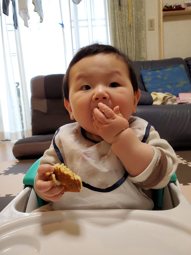 生後8ヶ月 僕の名前は よしよし です モグモグパクパク食べるの大好き たくさん食べて元気に成長中 コープ デリシェ
