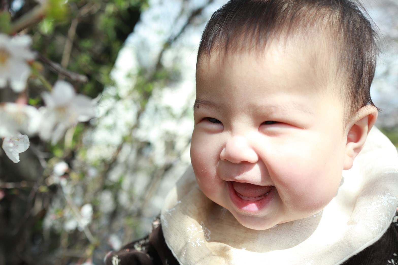 食べることが大好きな8月12日生まれの生後8ヶ月の女の子です 離乳食の時間を楽しんで欲しくて 野菜でキャラクターをかいたり 彩りをよくしたりと日々工夫をしていますが 毎日2食作るのが大変でbfなどを コープ デリシェ